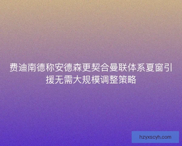 费迪南德称安德森更契合曼联体系夏窗引援无需大规模调整策略
